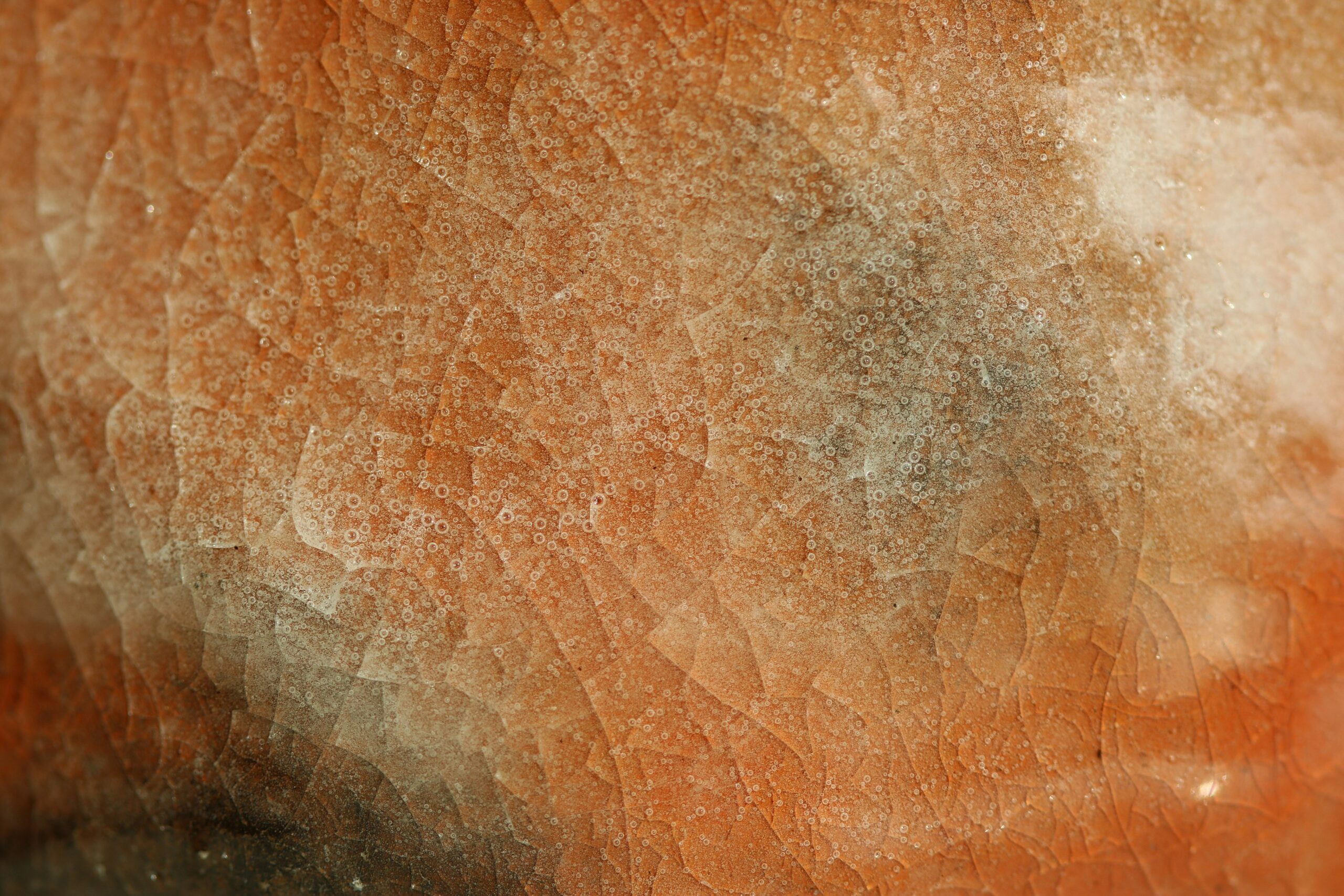 A close-up image showing mold spots forming on a transparent glass pet toy.