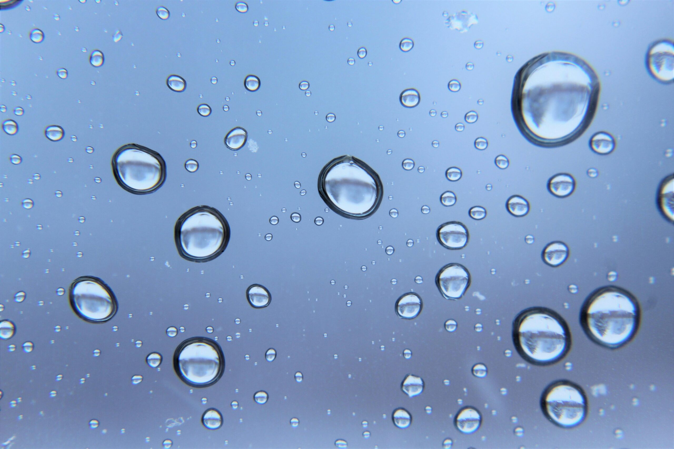 Close-up image showing visible water spots on clear glass pet toys