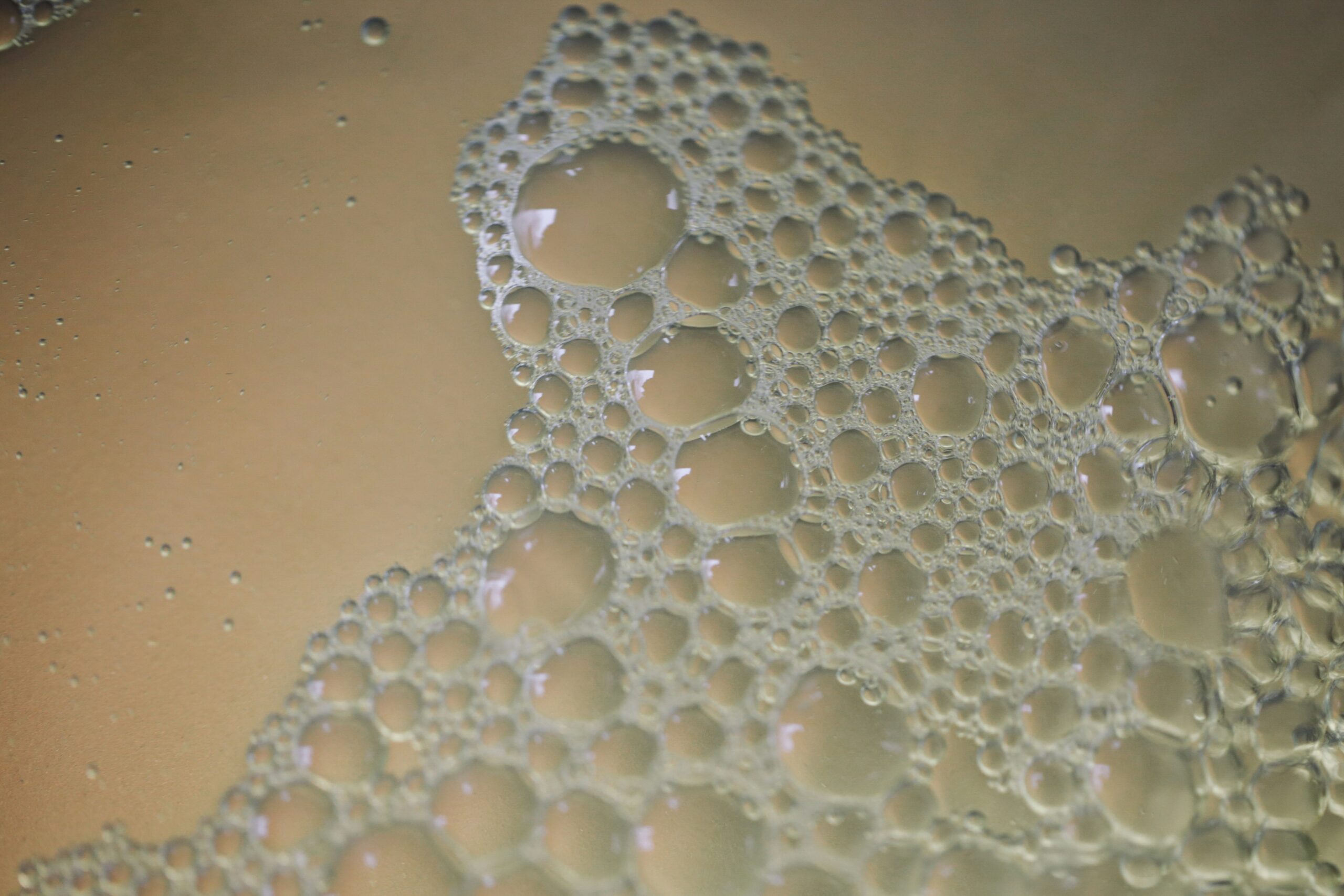 Glass toy under a microscope showing bacterial growth due to improper drying.
