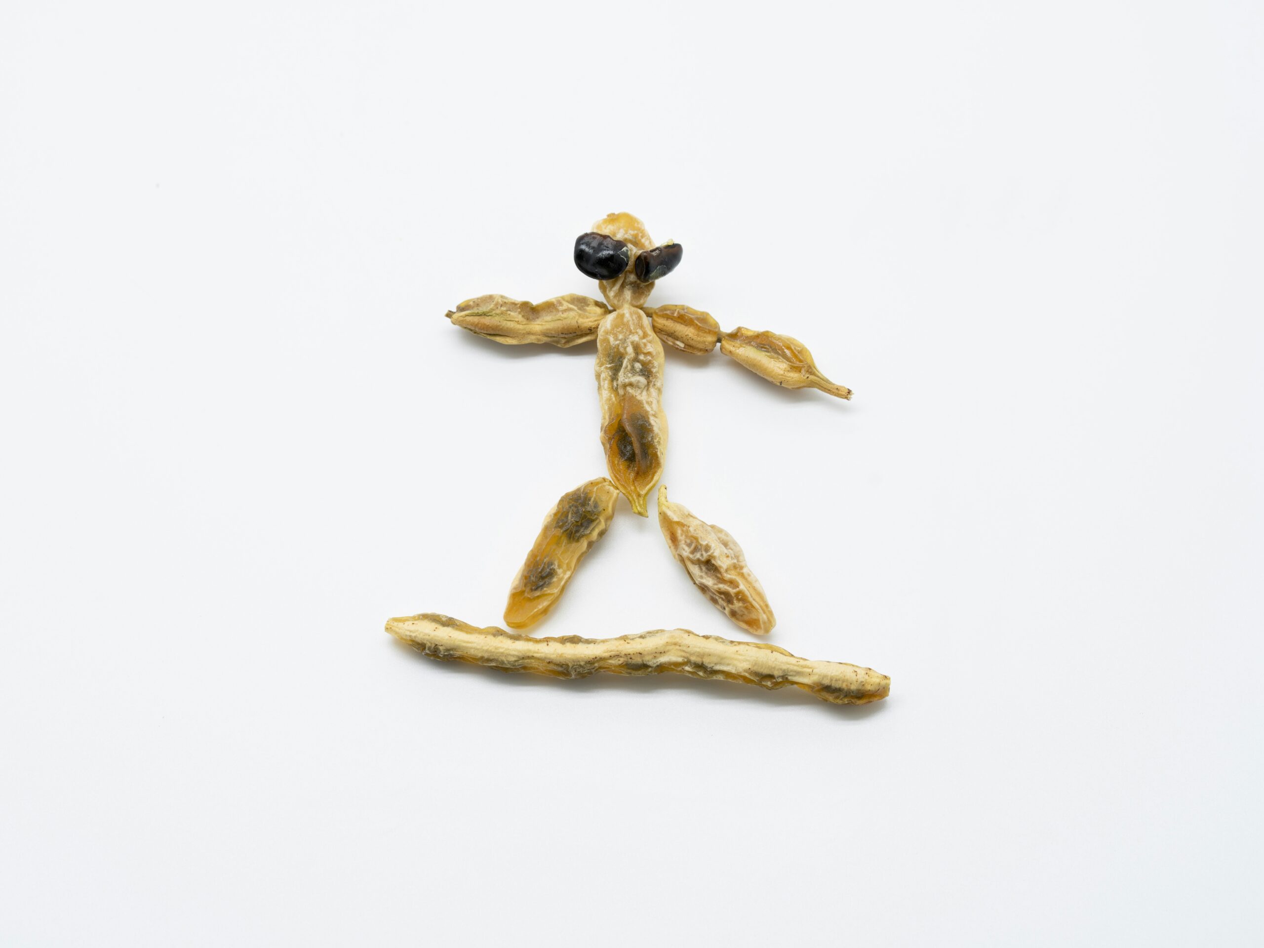Happy golden retriever playing with dried glass toys.