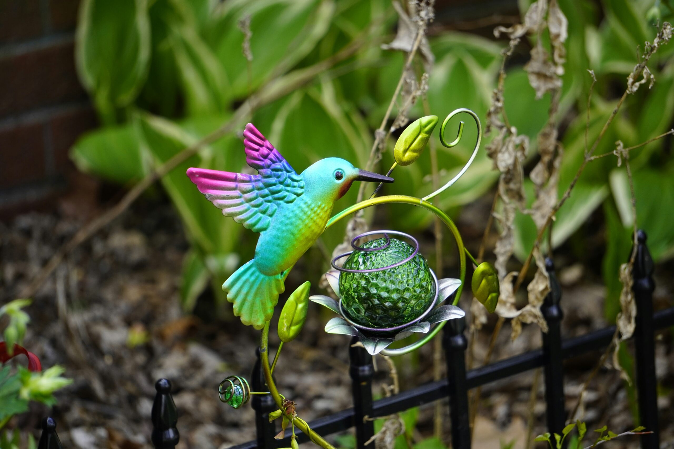 Parrots playing safely with silicone-coated glass puzzle feeders.