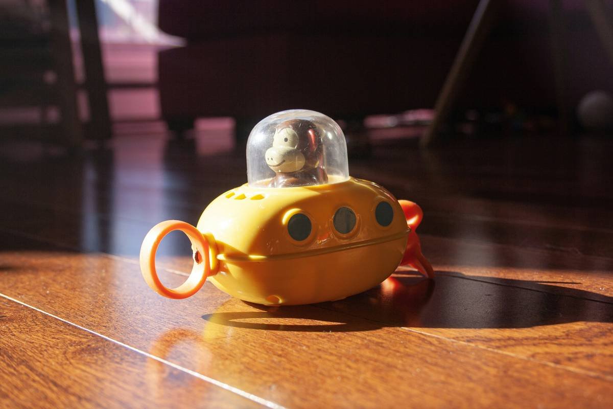 Assorted glass pet toys displayed neatly on a carpet