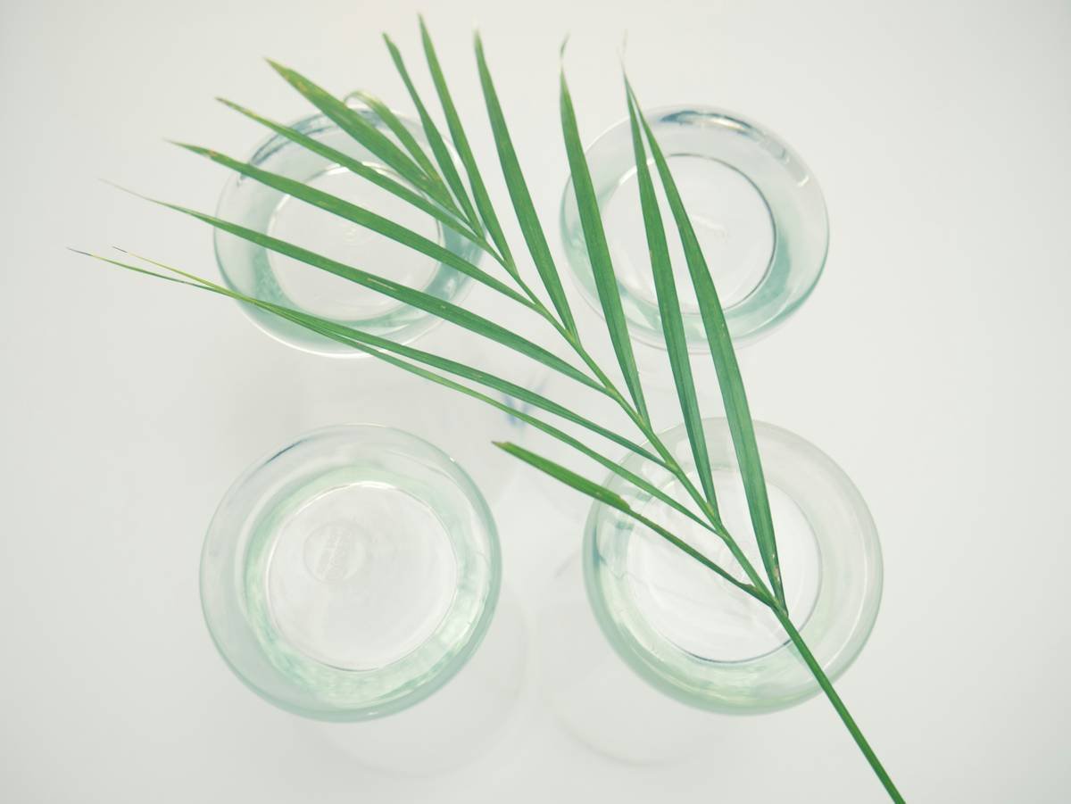Close-up image of a high-quality, shatterproof glass pet toy with rounded edges sitting on a white background.