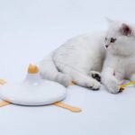 The Evolution of Glass Toy Design Innovation in Pet Care: Why It's a Game-Changer for Your Furry Friends