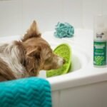 The Ultimate Guide to Glass Pet Toy Scrub: Keeping Your Pet's Toys Sparkling Clean