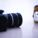 Why Glass Toy Modern Shape is the Future of Pet Play: A Comprehensive Guide