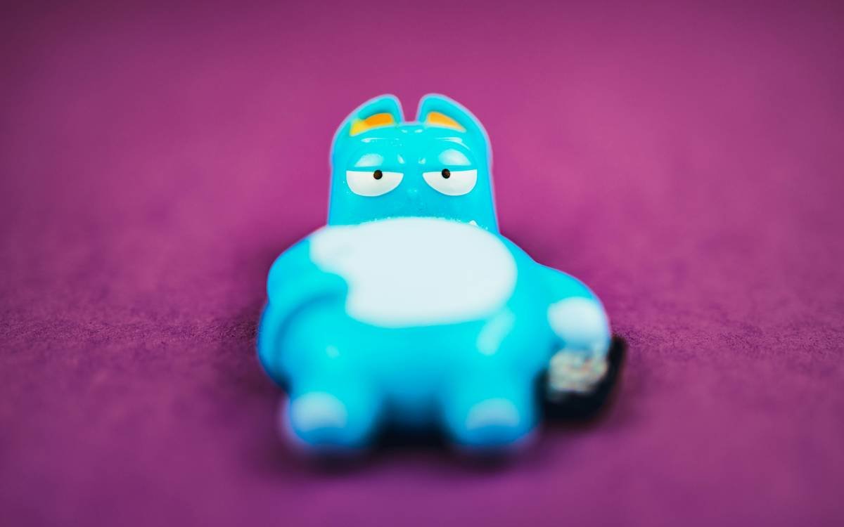 Is That a Glass Pet Toy Look—or Just a Hazard Waiting to Happen?