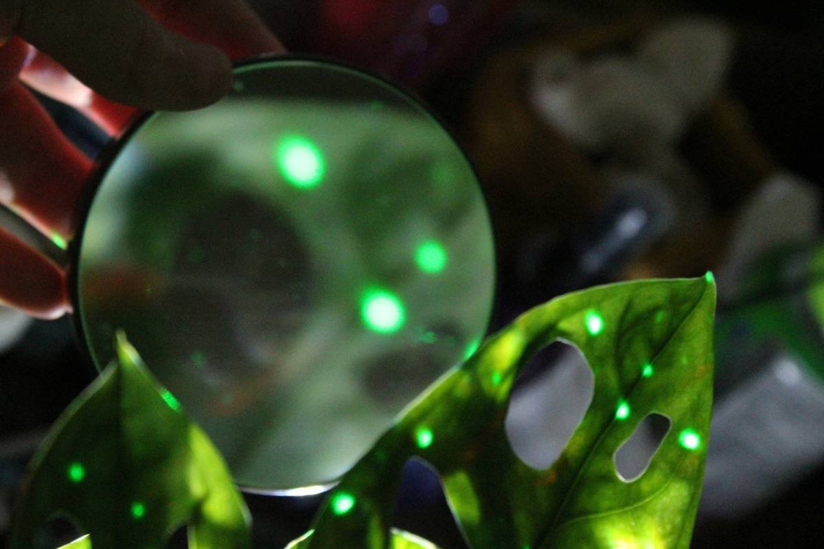 Side-by-side comparison showing borosilicate glass toy intact after drop vs. soda-lime glass shattered into sharp shards