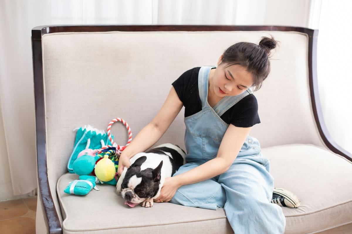 The Only Glass Toy Cleaning Solution Guide You’ll Ever Need (Backed by a Pet Care Pro)