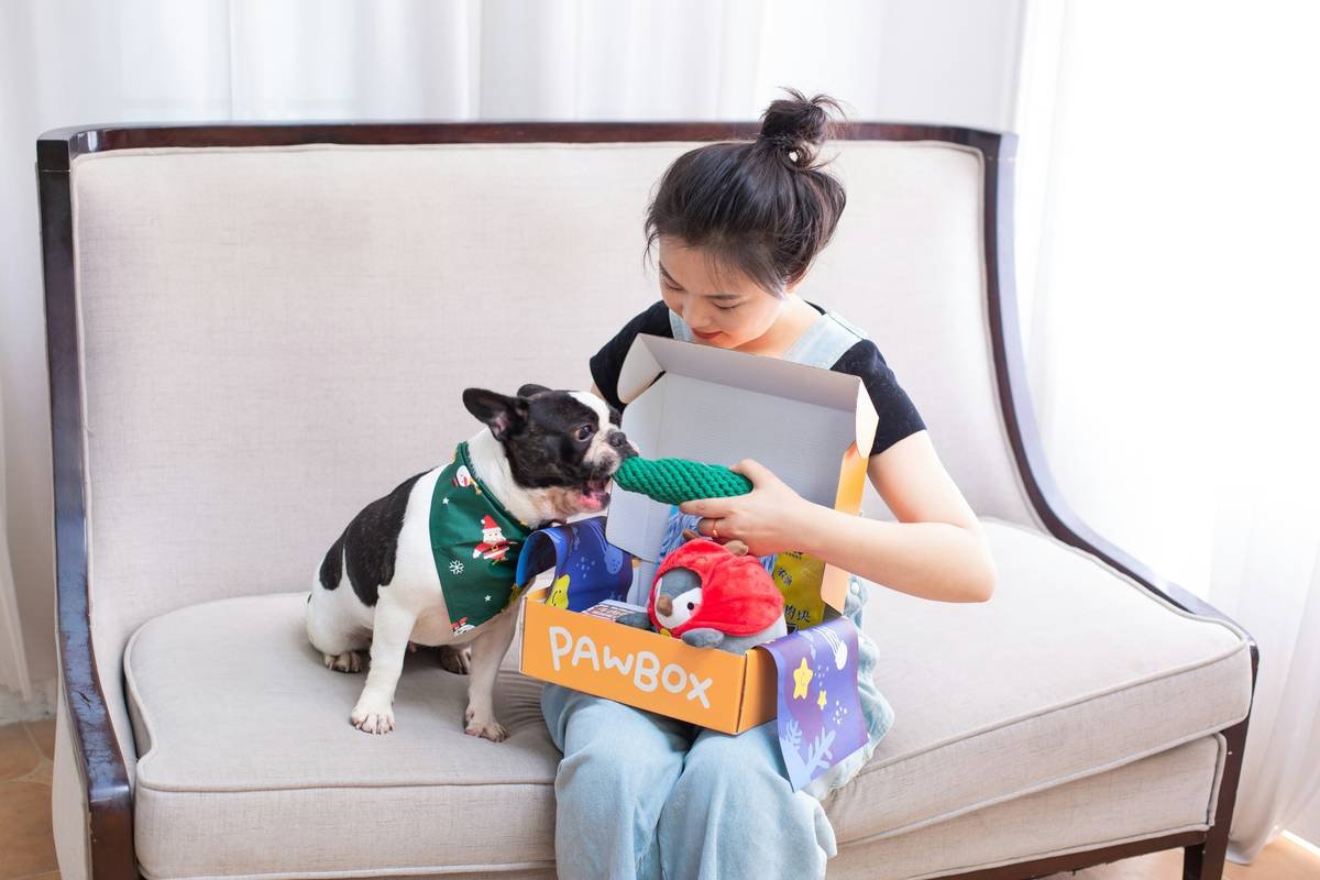 How to Choose a Design Option Glass: Safe, Stylish & Smart Picks for Pet Owners