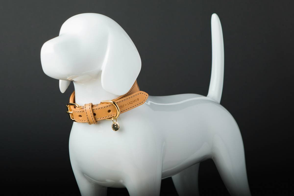 Infographic comparing borosilicate vs soda-lime glass pet toys: thermal resistance, impact strength, and surface smoothness ratings