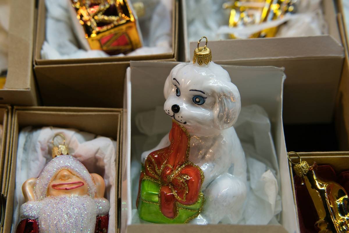 Infographic showing glass pet toy risks: 78% of vets report glass ingestion cases annually; common injuries include oral lacerations (62%), intestinal perforation (29%), and choking (9%)