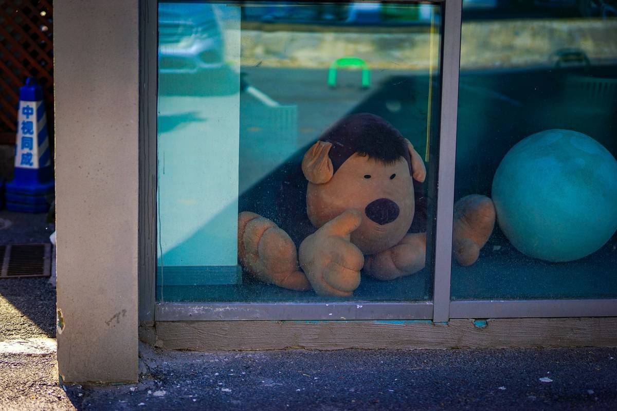 Is “Dog Soft Toy Glass” a Thing? Debunking the Myth & What to Buy Instead