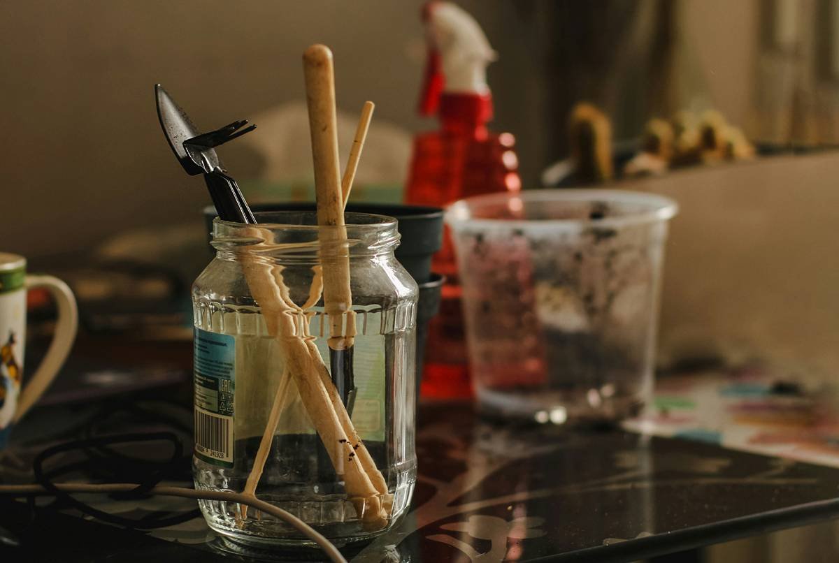 Ultimate Guide to Glass Toy Cleaning Care: Keep Your Pet’s Toys Safe & Hygienic