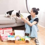 Why Your Glass Toy Cleaning Formula Might Be Doing More Harm Than Good