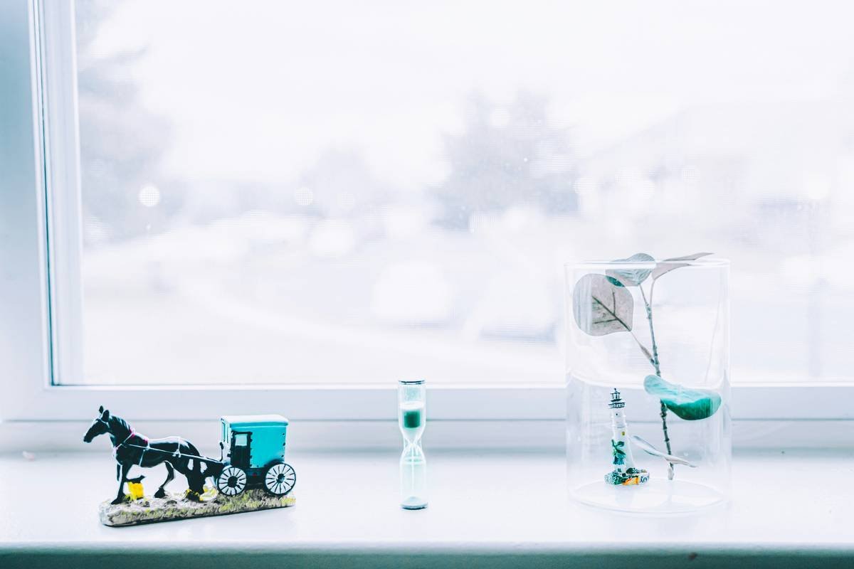 Why Your Glass Toy Cleaning Product Could Be Harming Your Pet (and What to Use Instead)