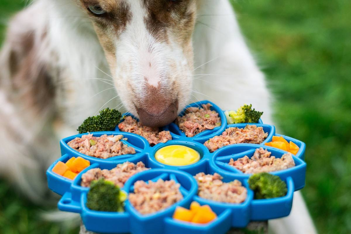 Why Glass Test Tubes for Crafts Are Taking Over Pet Enrichment (And How to Use Them Safely)